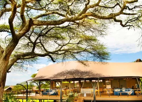 6 Days / 5 Nights Standard Camping Safari Selous Southern Tanzania