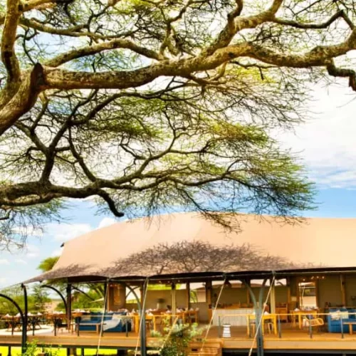 6 Days / 5 Nights Standard Camping Safari Selous Southern Tanzania