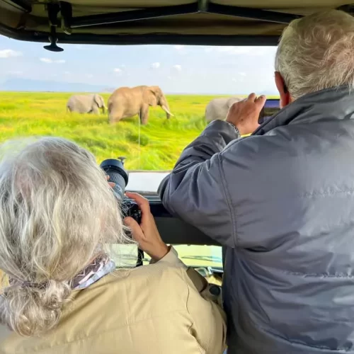 7 Days (Western Serengeti Migration) - Tarangire, Serengeti and Ngorongoro Crater