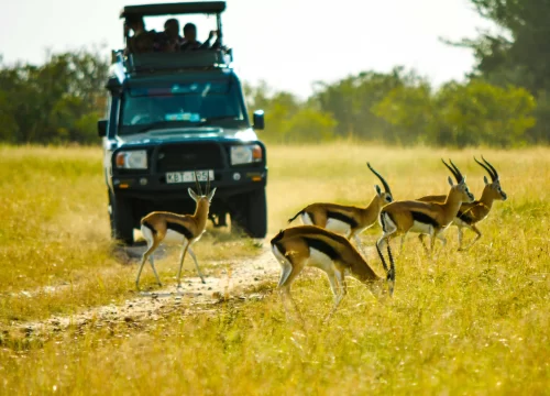 Tarangire National<BR>Park