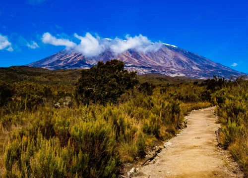 Mountain Kilimanjaro