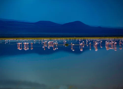 Lake manyara 