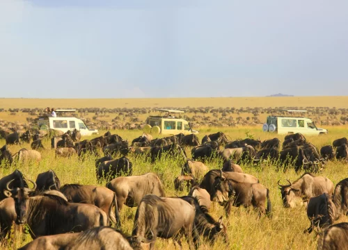 When is the best time for a safari in Tanzania?