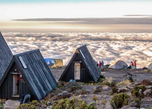 "Climbing the Machame Route with Geovannah Tanzania Adventures: The Epic 7-Days Journey to Kilimanjaro's Summit"