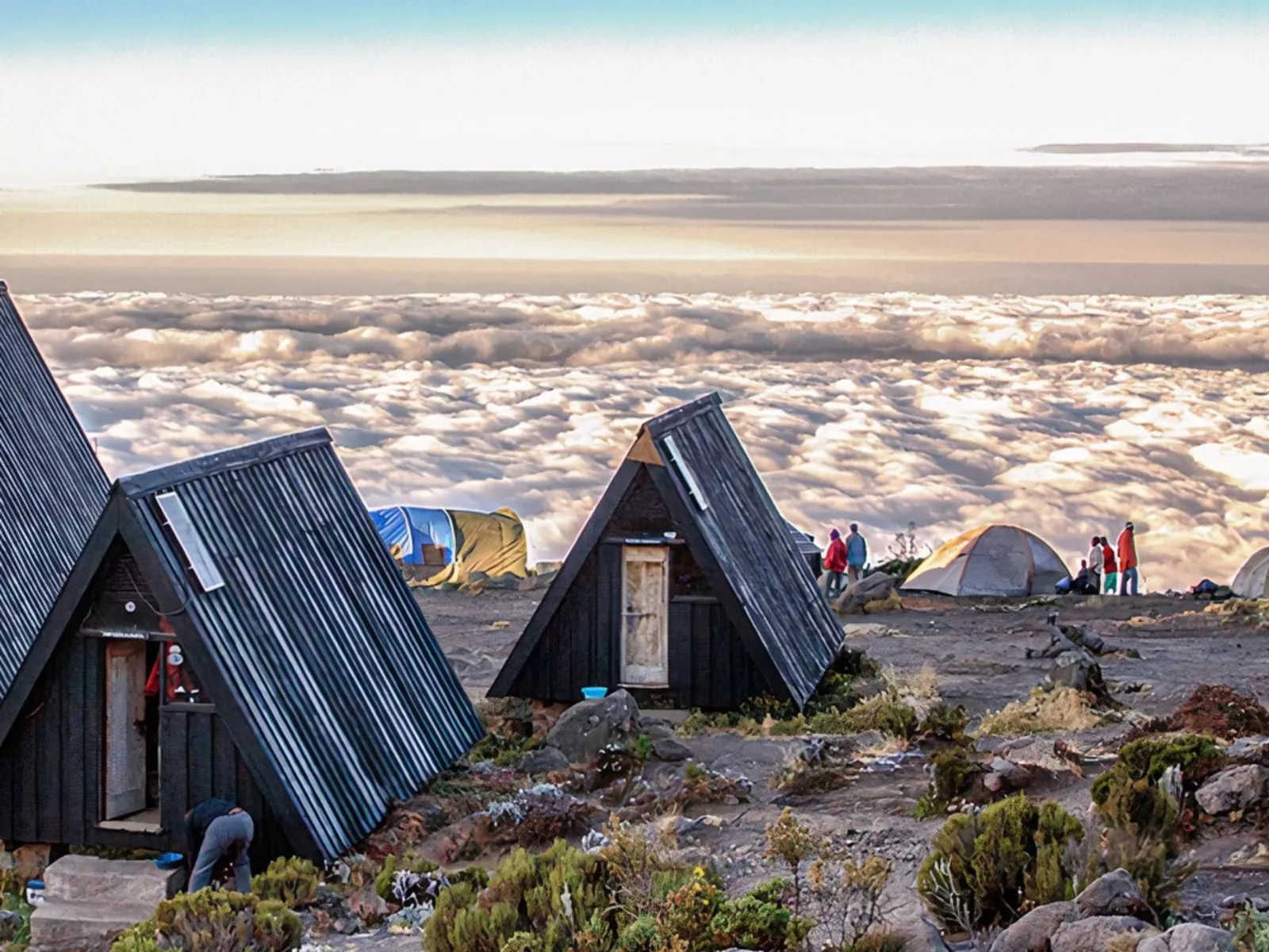 "Climbing the Machame Route with Geovannah Tanzania Adventures: The Epic 7-Days Journey to Kilimanjaro's Summit"