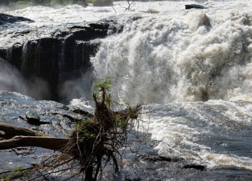Murchison Falls National Park
