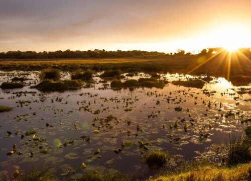 iSimangaliso Wetland Park 